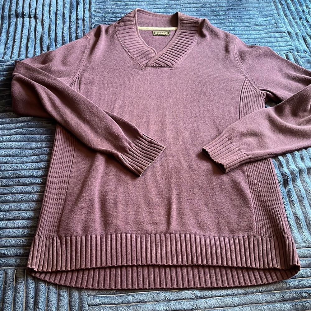 Express purple v-neck sweater sz L